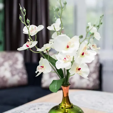 Comfy Bright In Old Town Your Perfect Location Vilnius