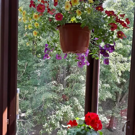 Lägenhet Comfy Bright In Old Town Your Perfect Location Vilnius