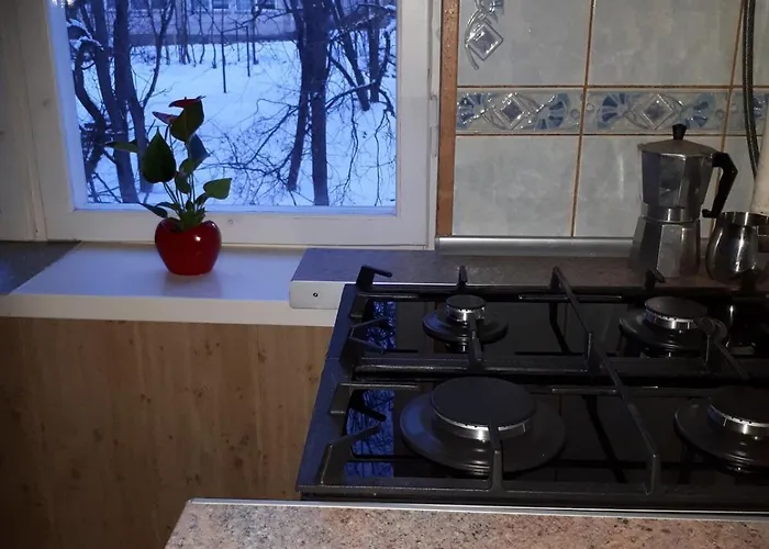 Comfy Bright In Old Town Your Perfect Location * Vilnius