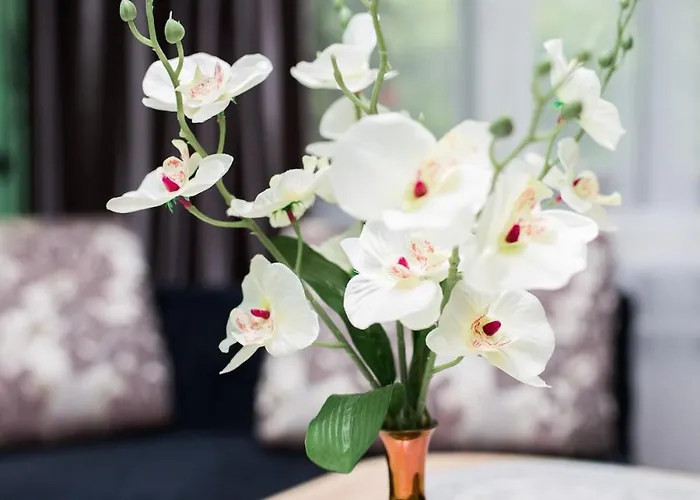 Comfy Bright In Old Town Your Perfect Location Vilnius