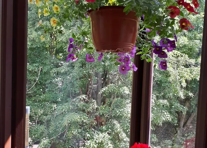 アパート Comfy Bright In Old Town Your Perfect Location ヴィリニュス